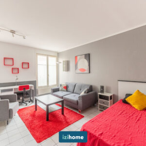 Grand studio avec coin nuit – Croix Rousse